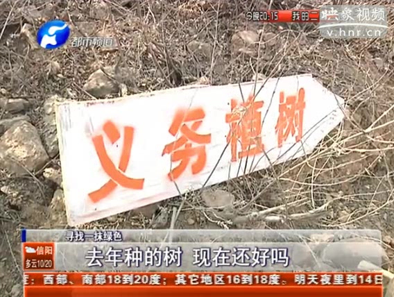 去年種的樹(shù) 現(xiàn)在還好嗎？