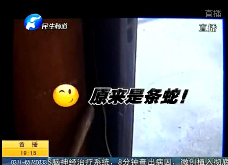 兩米長蛇賴進(jìn)居民家