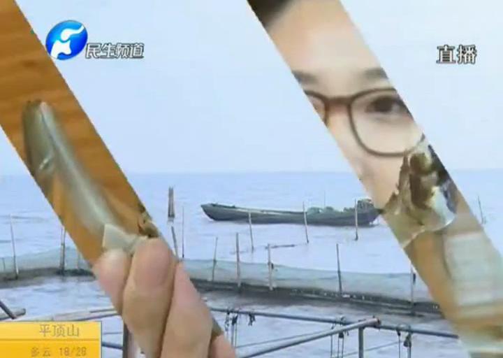 陽澄湖大閘蟹？假的！