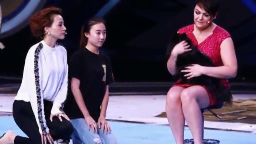 又當托？ 董卿節(jié)目現(xiàn)場當眾對狗下跪稱被催眠