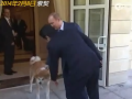 普京牽狗見(jiàn)安倍 安倍向狗“示好”