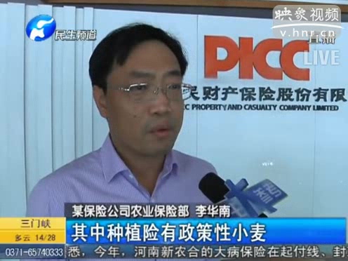 冰雹惹禍 損失能索賠嗎？