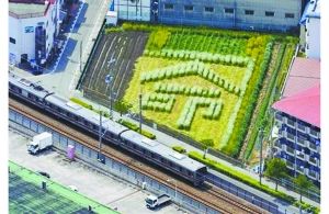 日本2005年列車事故現(xiàn)場附近的一塊農田里勾勒出一個“命”字，以警世人。