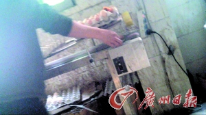 工作人員正在為“土雞蛋”噴日期碼。